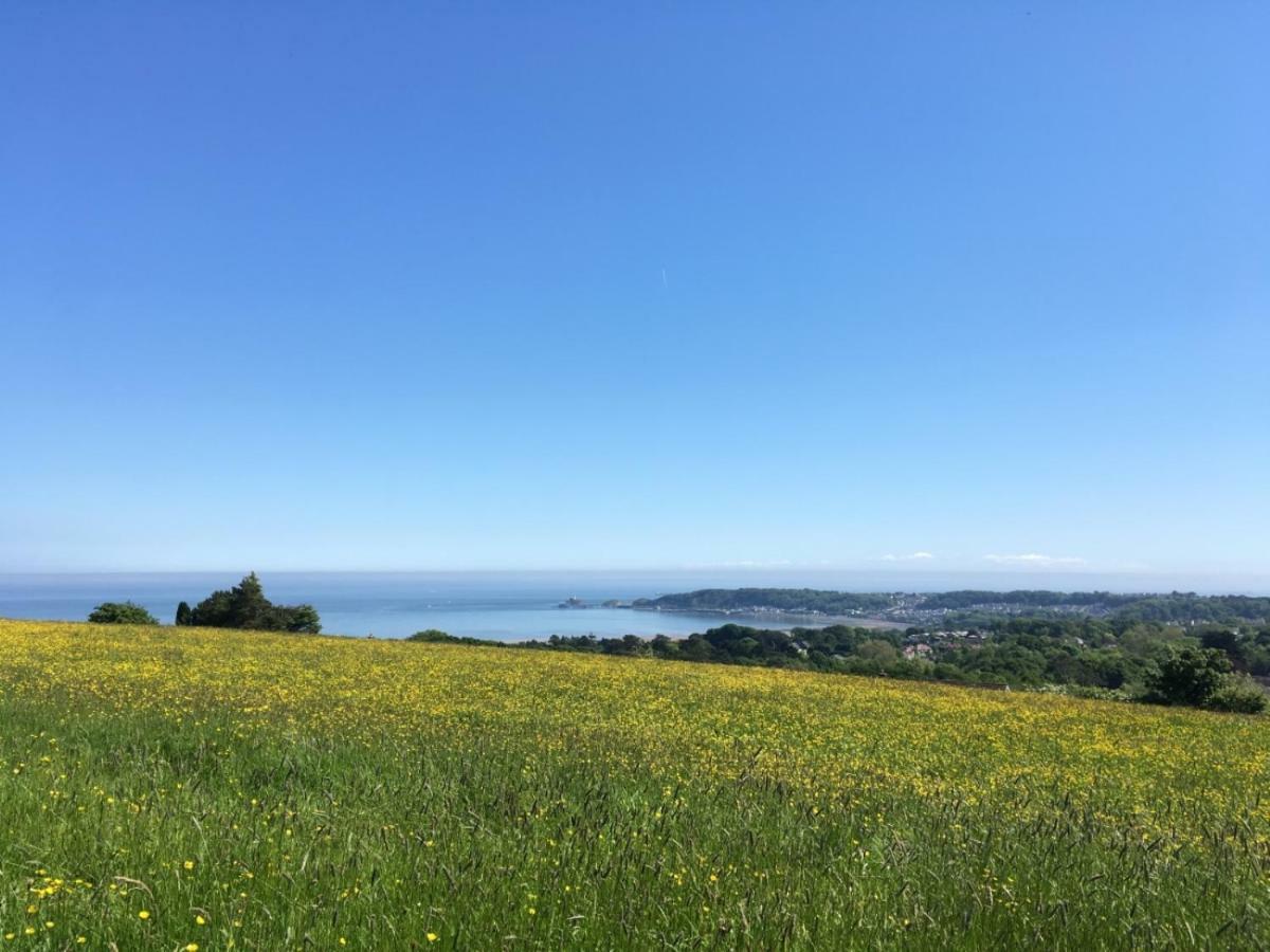 Clyne Farm Centre Villa Mumbles Exterior foto